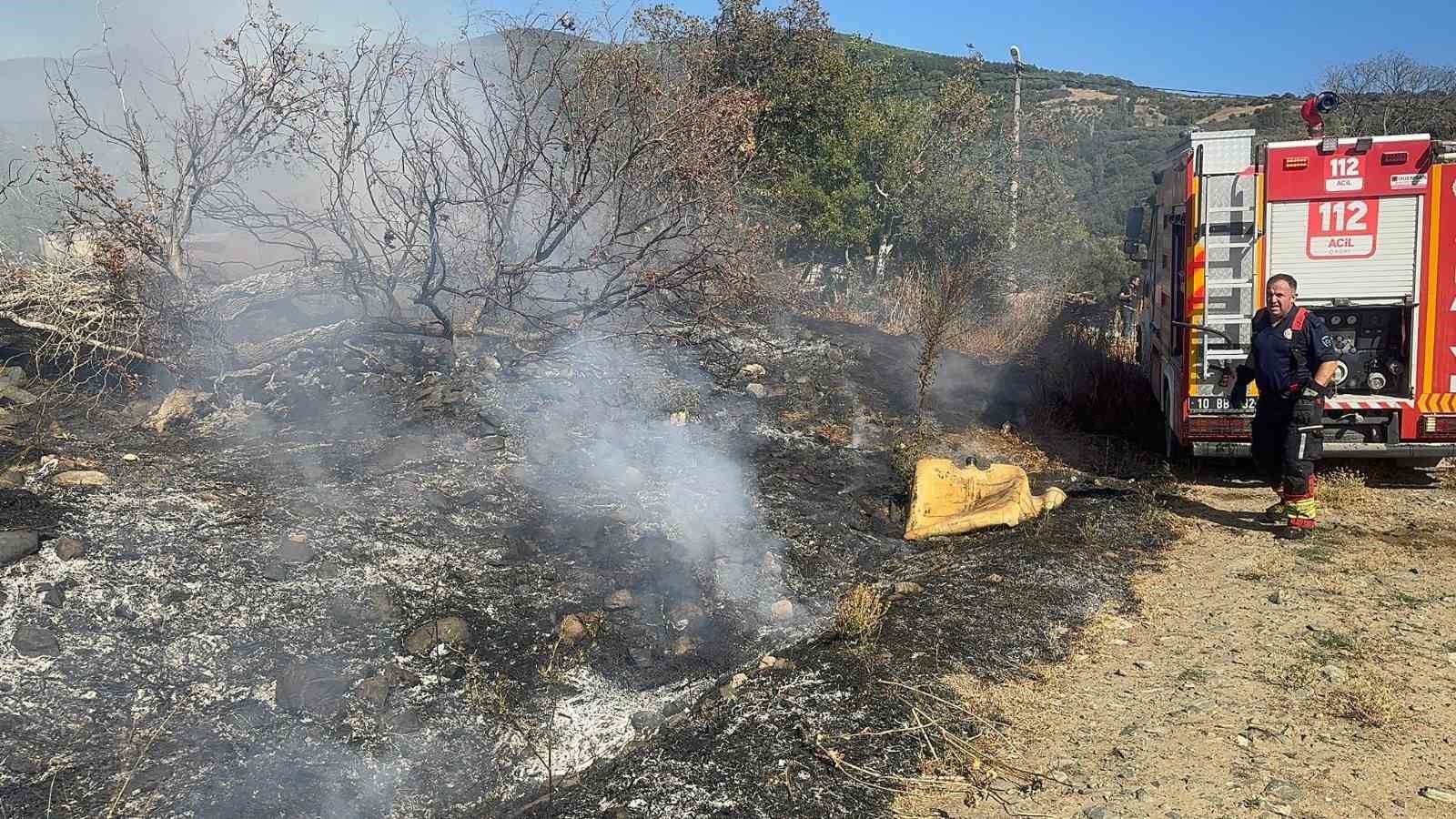 Erdek’te anız yangını çevreye sıçradı: Ağaçlar ve otomobil zarar gördü
