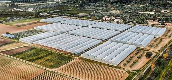 AK Parti Buharkent İl&ccedil;e Başkanı Balık&ccedil;ı&rsquo;dan CHP&rsquo;li meclis &uuml;yelerine tepki

