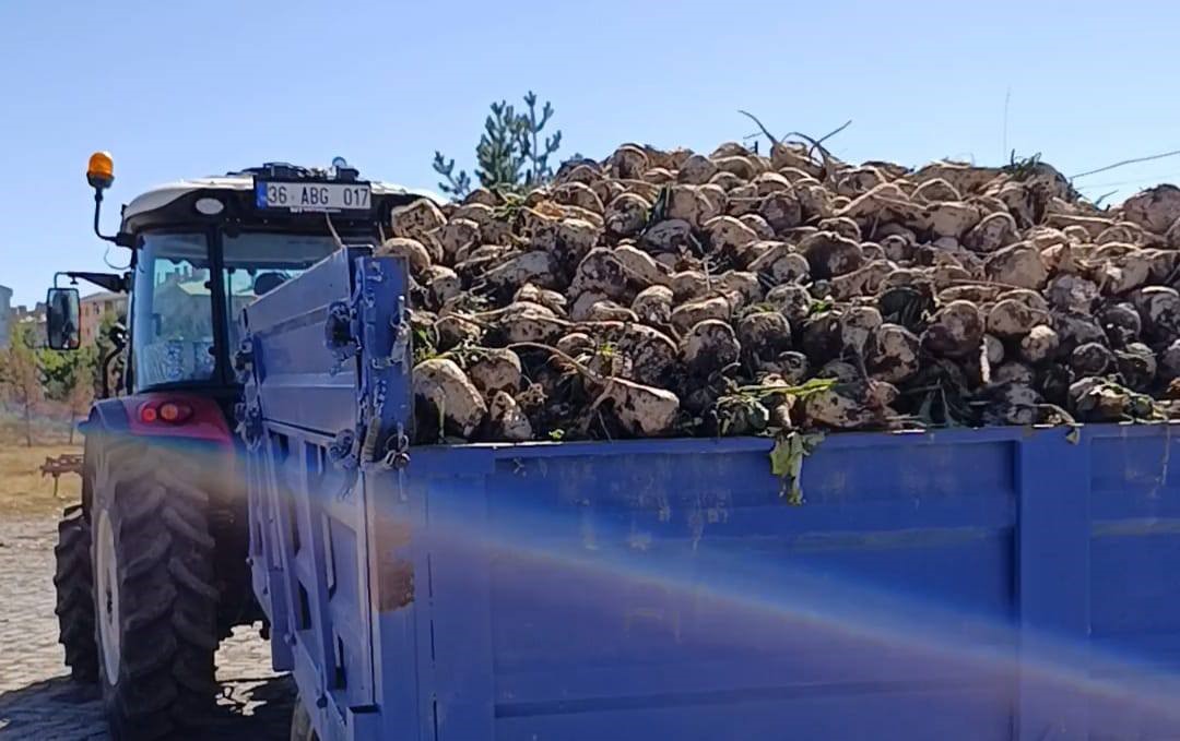 Kars’ta pancar alım kampanyası başladı