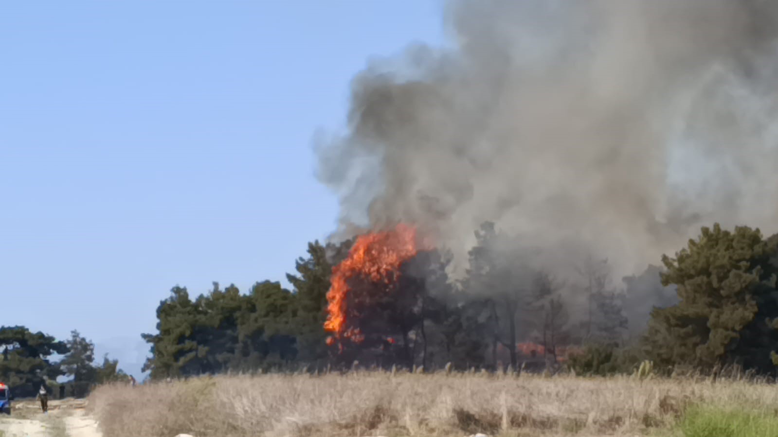 Manavgat’ta arazide başlayan yangın ormanlık alana sıçradı