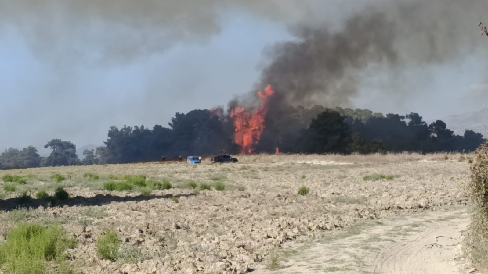 Manavgat&rsquo;ta arazide başlayan yangın ormanlık alana sı&ccedil;radı
