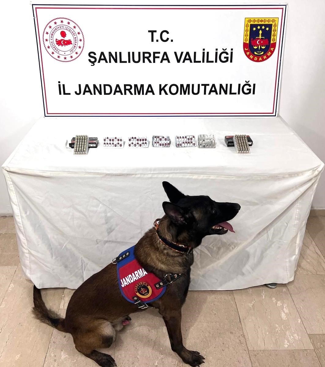 Şanlıurfa’da uyuşturucu madde ele geçirildi