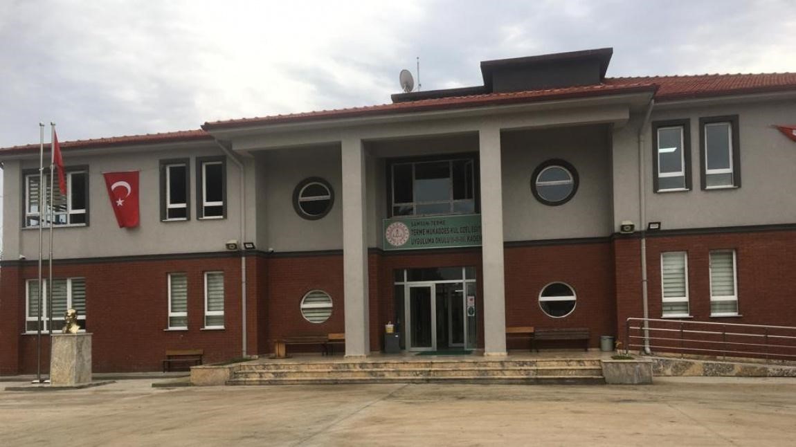 Samsun’da özel eğitim okulunda "nü resim" iddiasına soruşturma