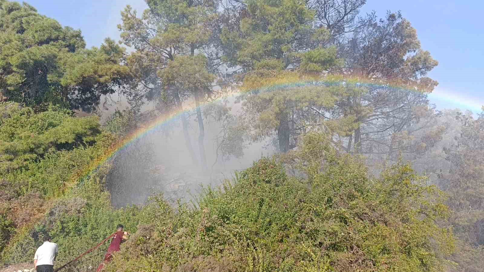 Orman yangınında uçaktan atılan su gökkuşağı oluşturdu
