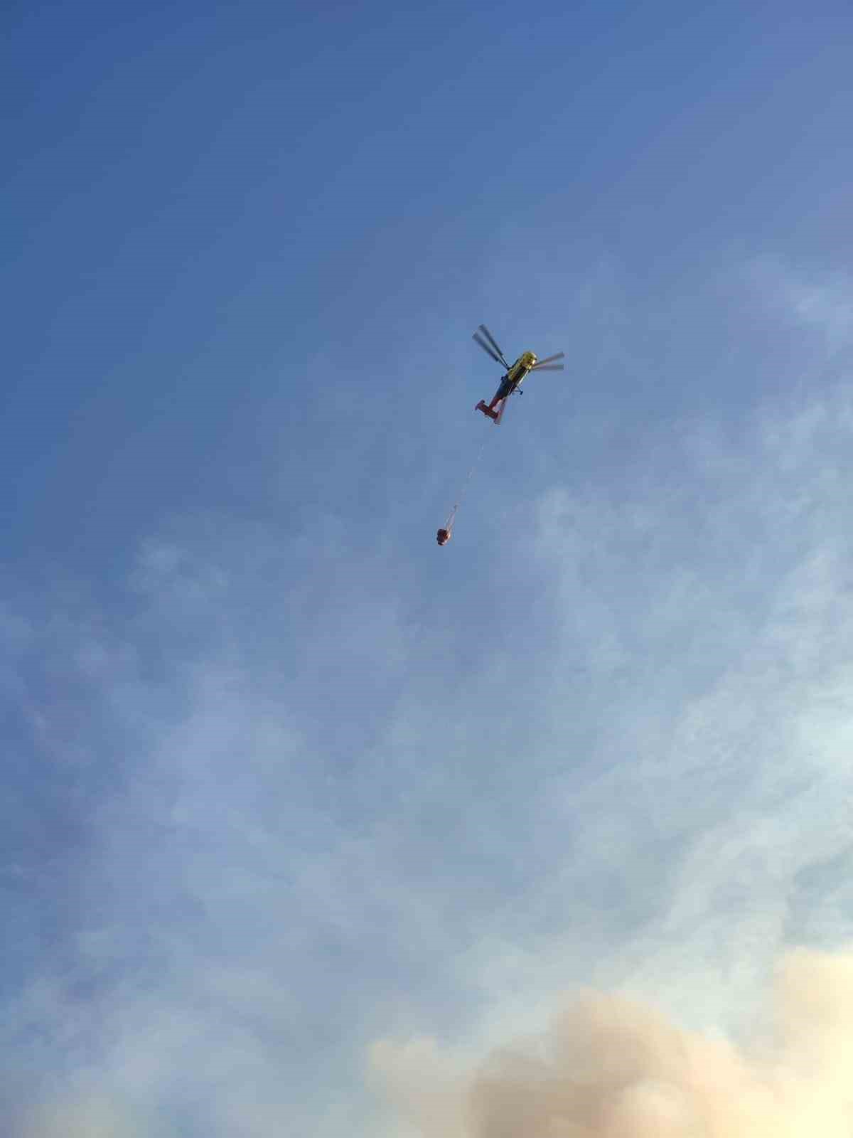 Sazlık alanda &ccedil;ıkan yangın ormana sı&ccedil;radı
