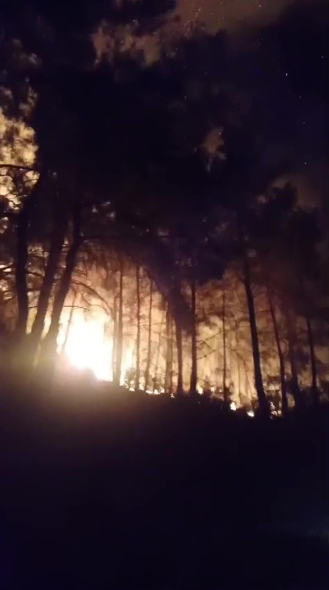 Gazipaşa&rsquo;da ormanlık alanda yangın
