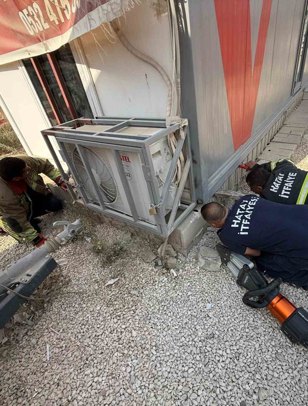 Konteynerin altında mahsur kalan kedileri itfaiye kurtardı
