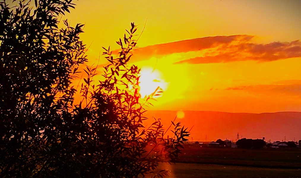 Ardahan&rsquo;da g&uuml;n doğumu mest etti
