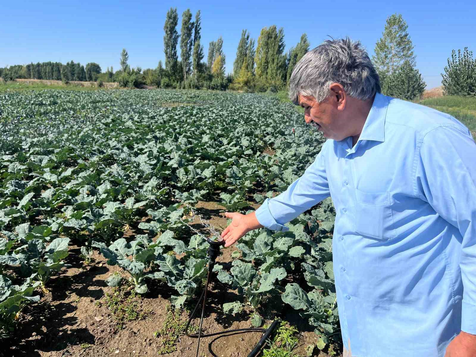 Çiftçilerin kullandığı kuyu suları 2 metreye kadar indi