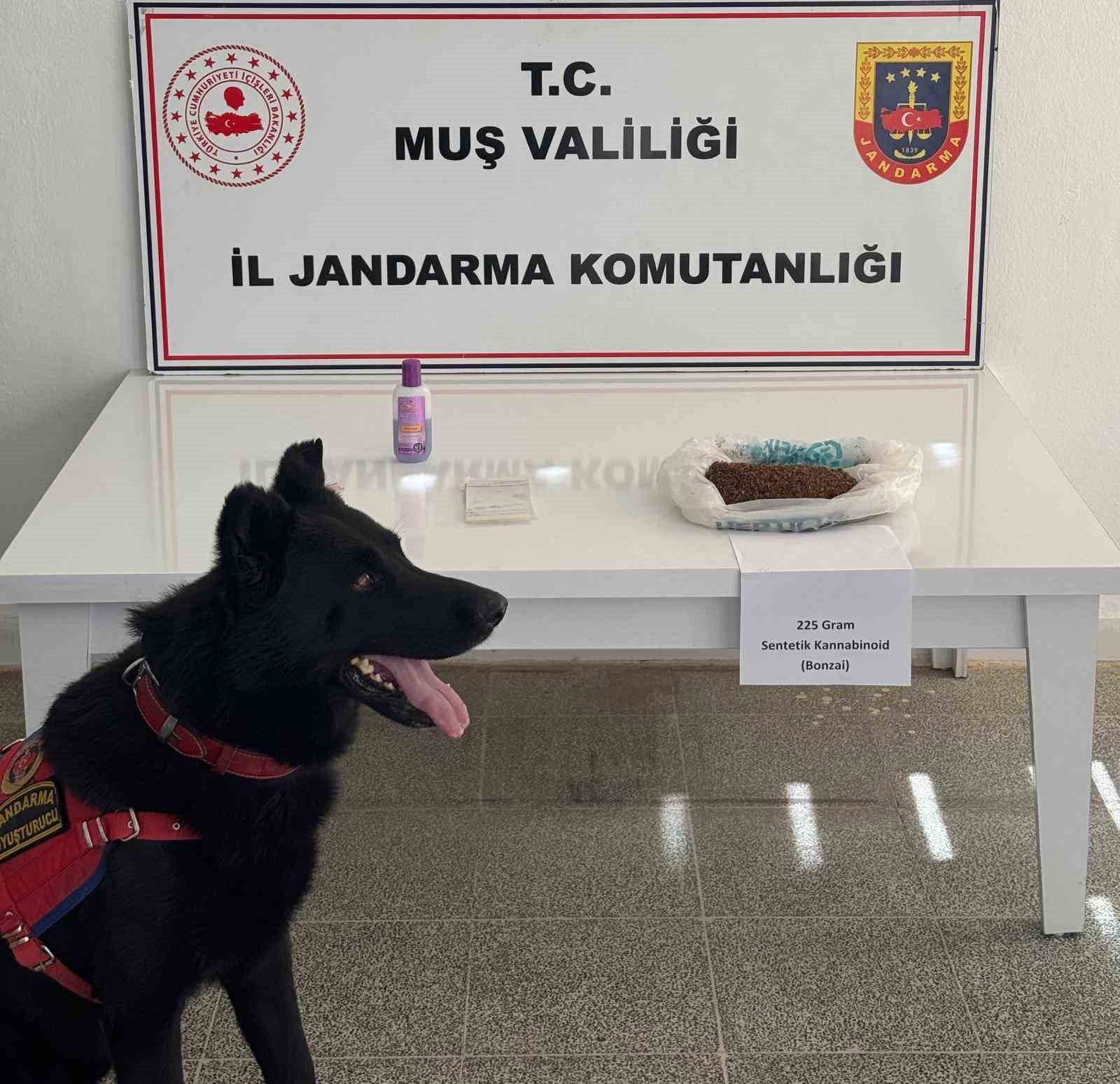 Muş’ta uyuşturucu operasyonu: 2 gözaltı