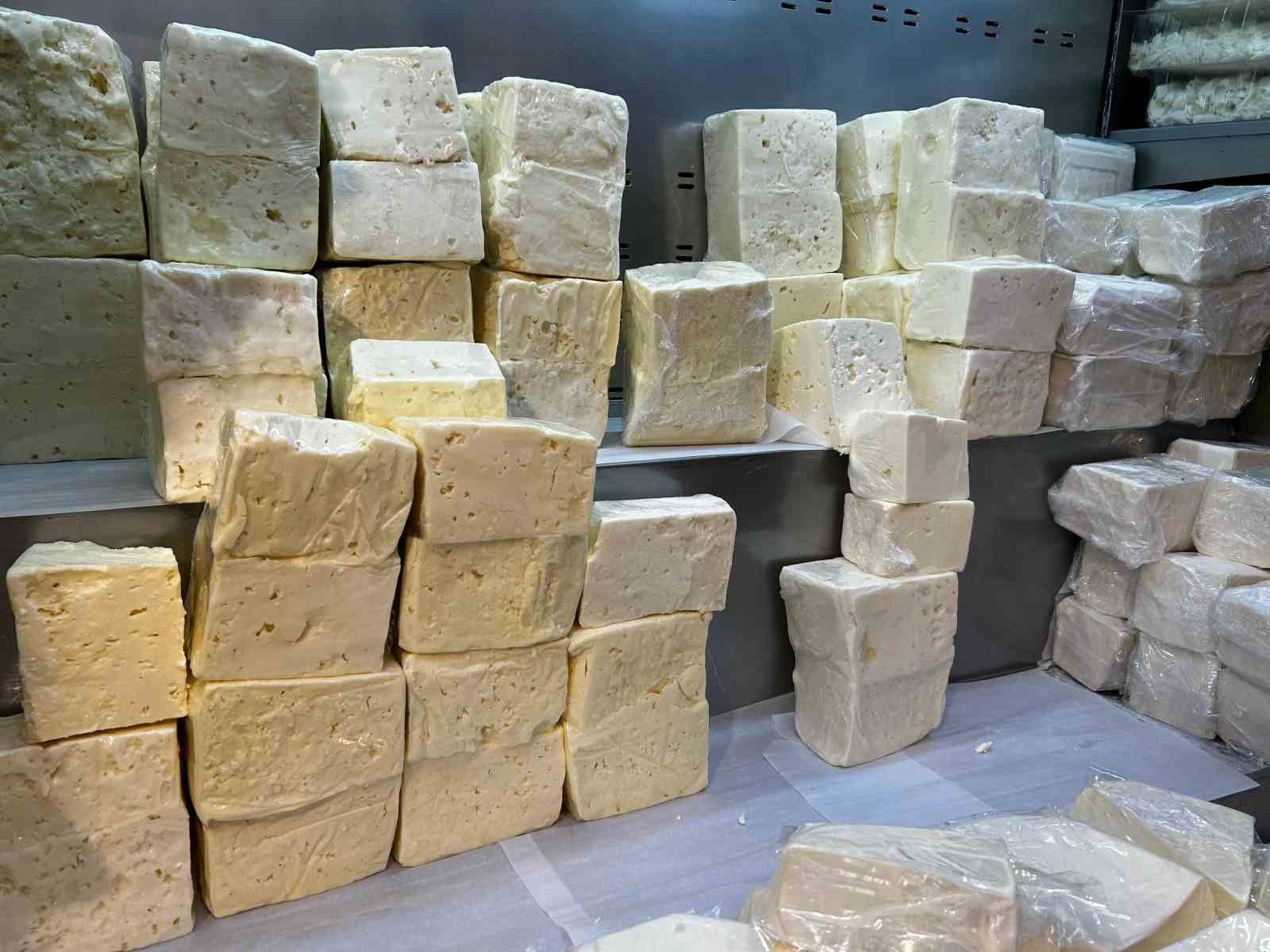 Denizli’de peynir üreten firmanın 5 ürününde yağ oranı düşük çıktı