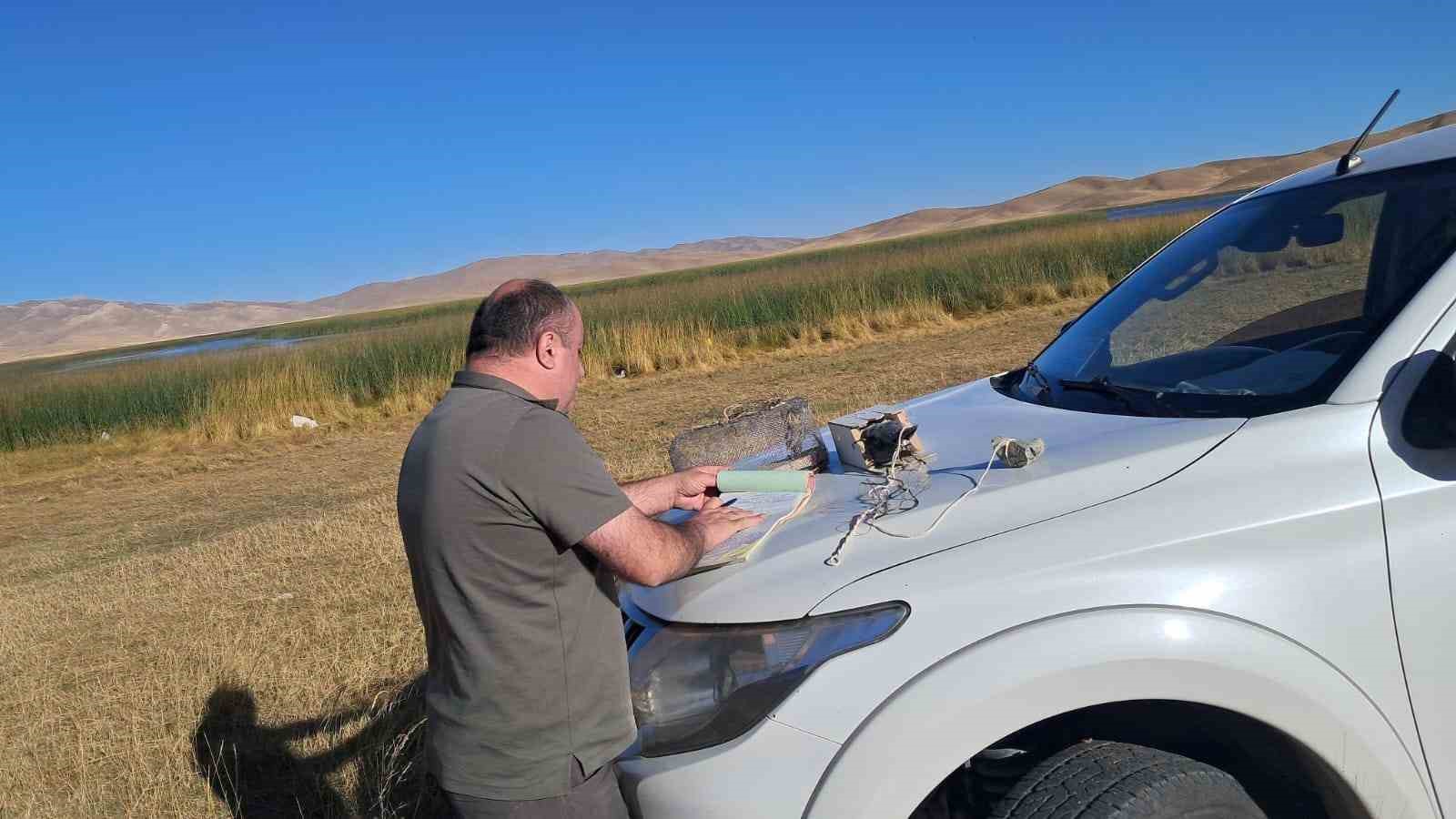 Van’da canlı mühre ile avcılık yapan şahsa 33 bin lira cezai işlem uygulanacak