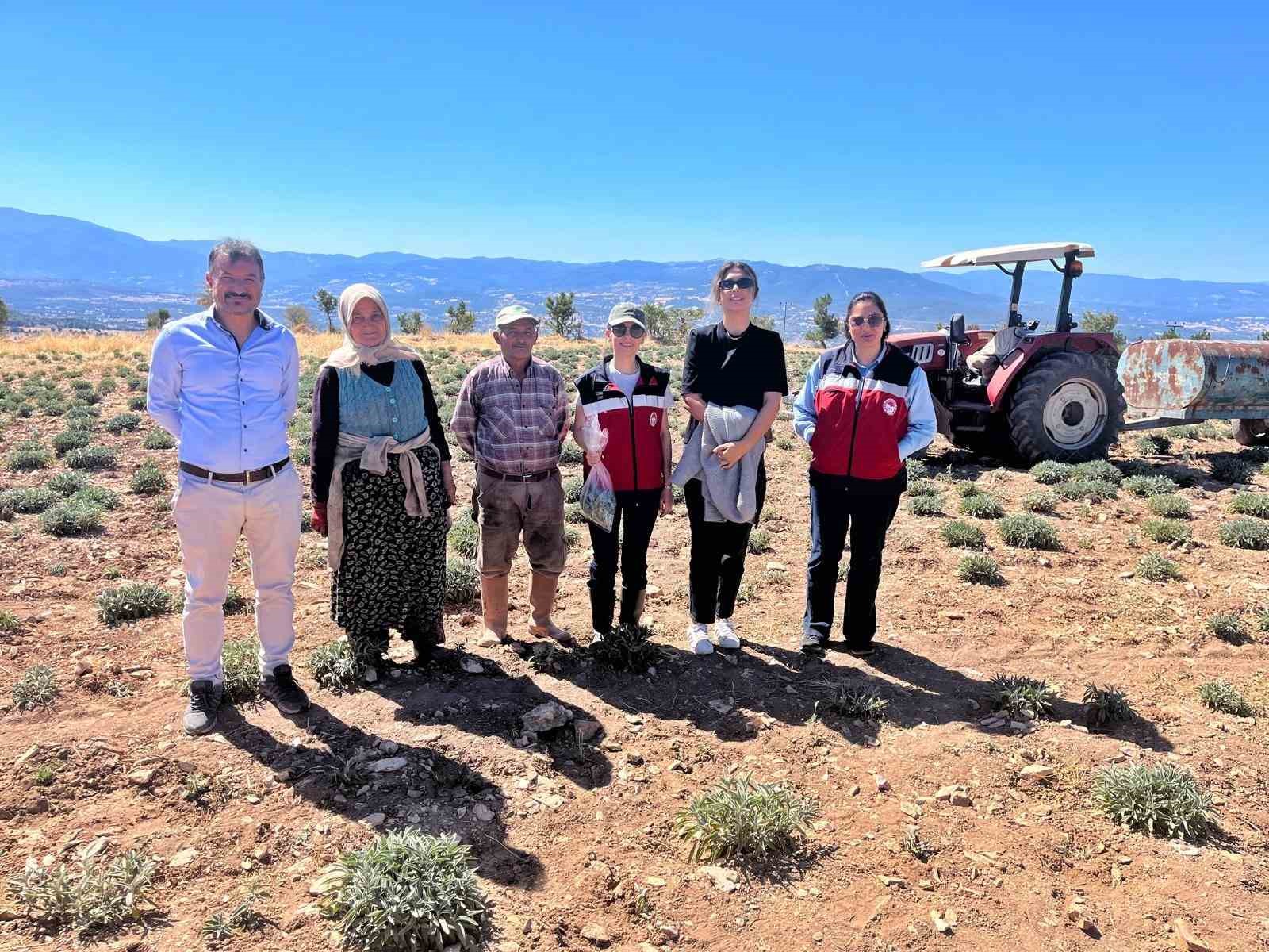 Kütahya’da ürünlerin organik geçiş sertifikasyon işlemleri için parsel kontrolleri ve numune alımları