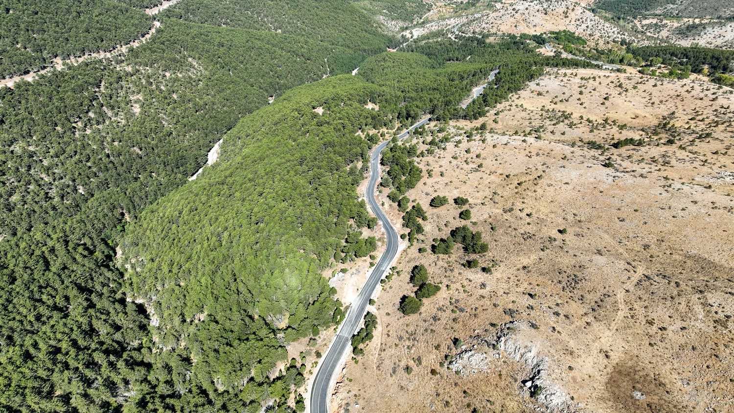 Selçuklu Belediyesi ulaşımı rahatlattı
