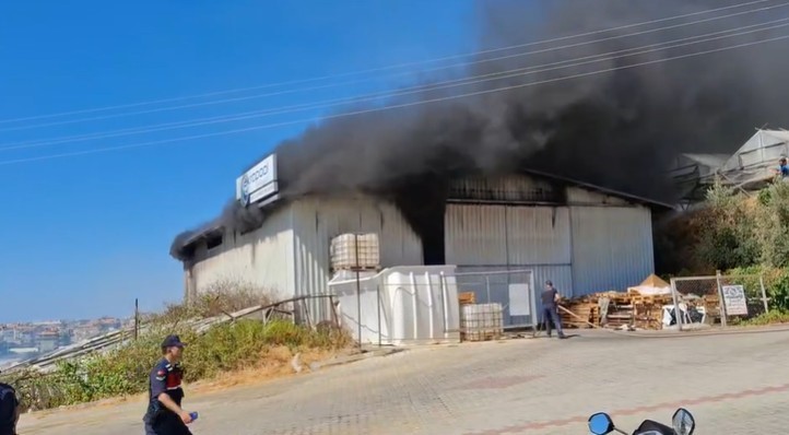 Alanya’da serada çıkan yangın depoya sıçradı
