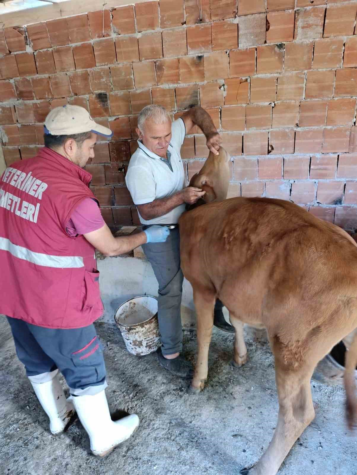 &Ccedil;arşamba&rsquo;da tarımda koruma ve m&uuml;cadele &ccedil;alışmaları
