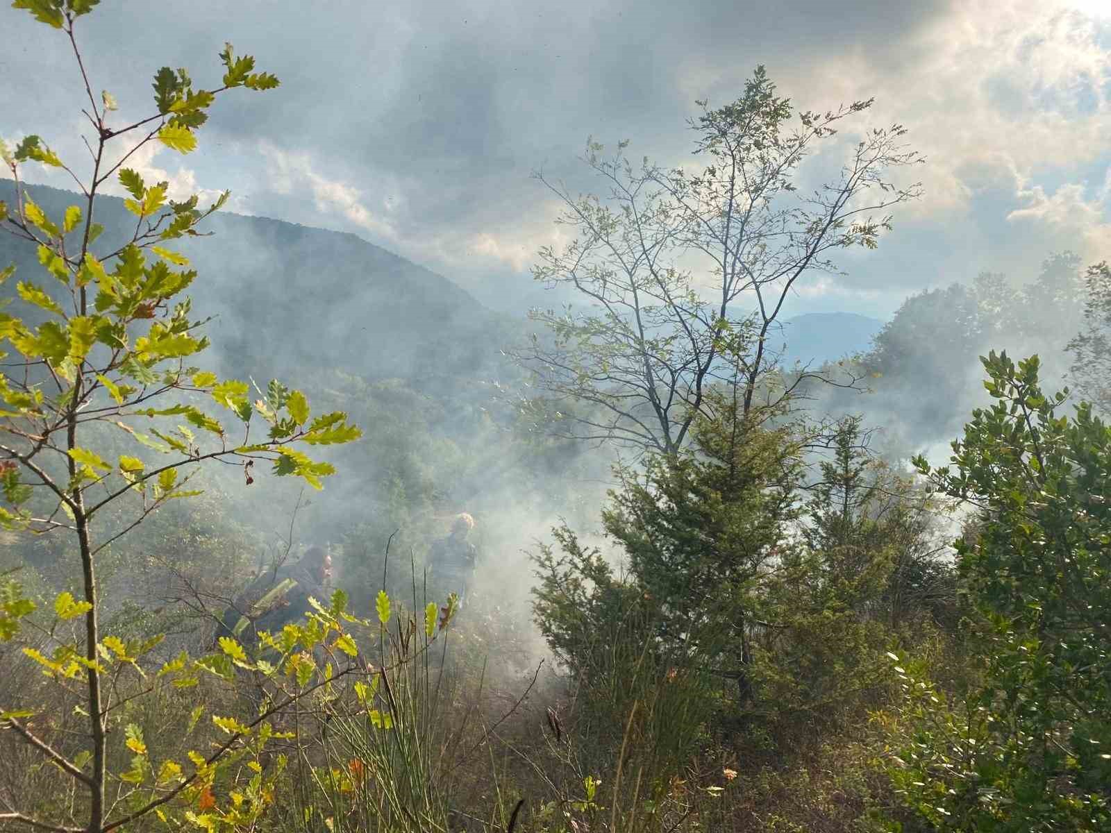 Türkeli’de otluk alanda çıkan yangın söndürüldü