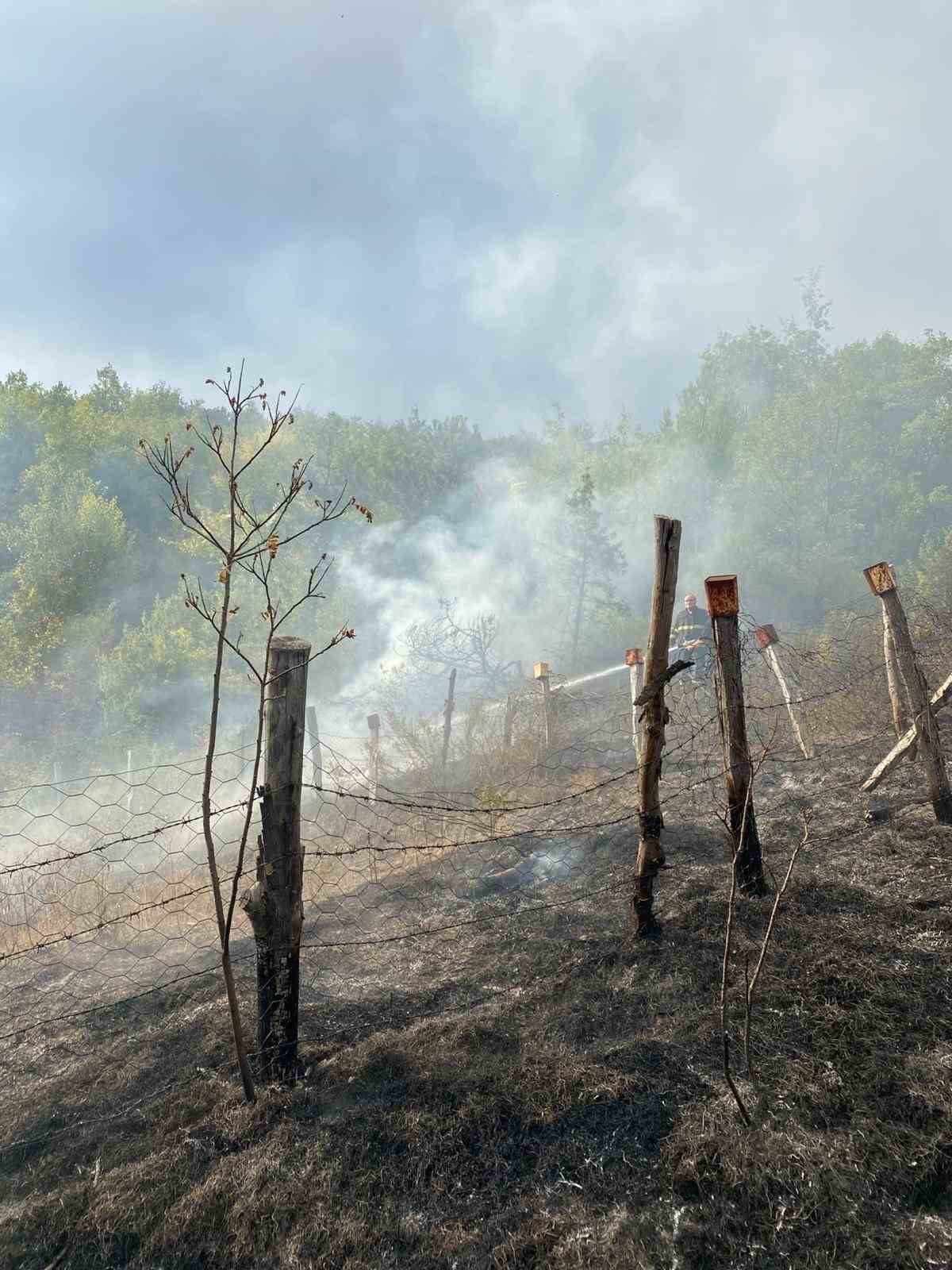 Türkeli’de otluk alanda çıkan yangın söndürüldü