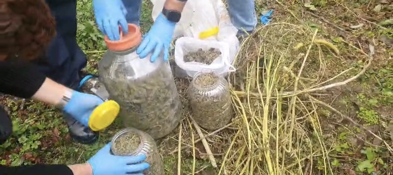 Fındık bahçesindeki bidonlardan uyuşturucu çıktı