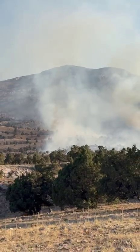 Karaman&rsquo;da &ccedil;ıkan &ouml;rt&uuml; yangını ağa&ccedil;lık alana sı&ccedil;radı
