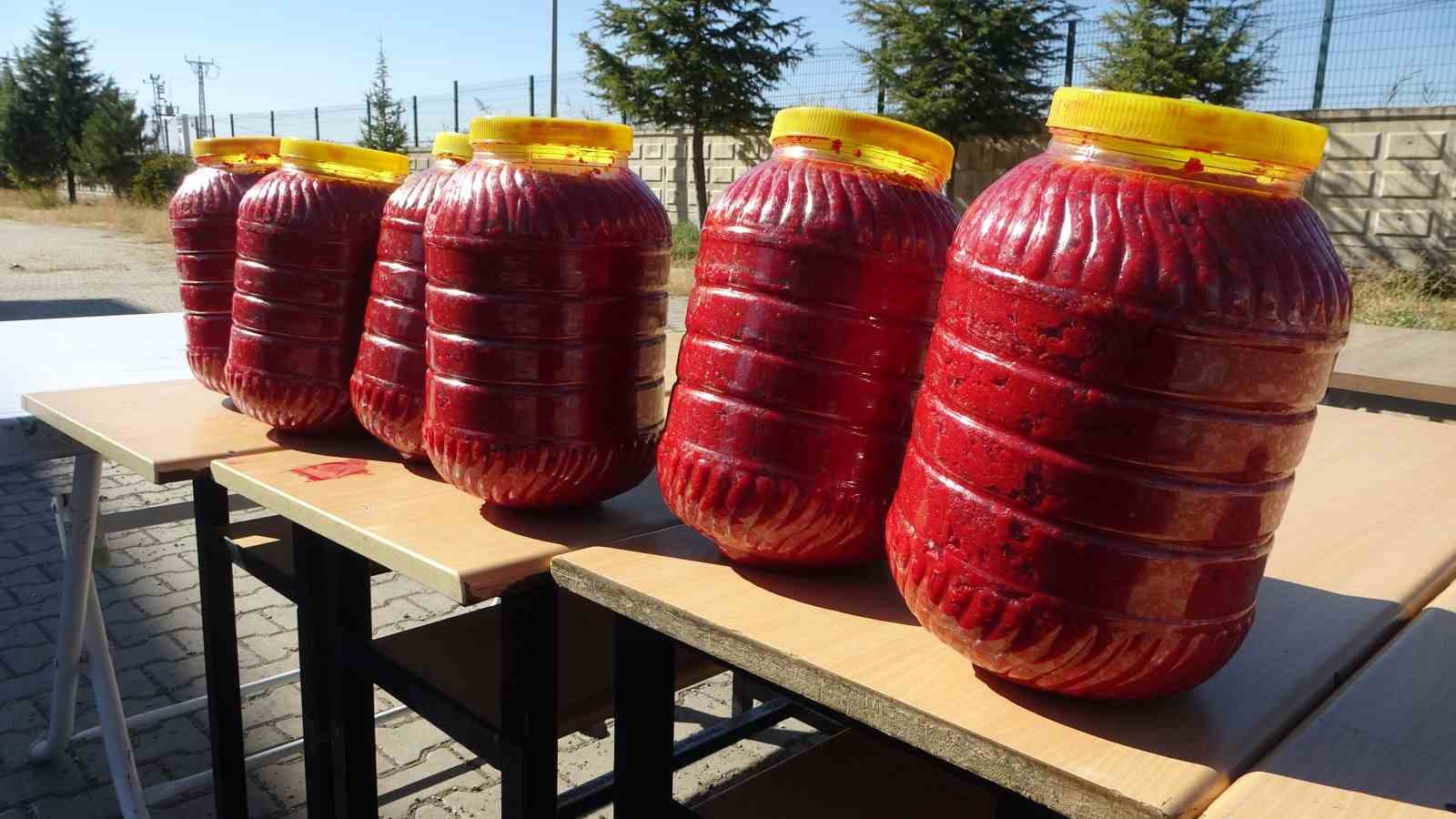 Fabrika gibi okul: Malatya&rsquo;da &ouml;ğrenciler domates yetiştirip sal&ccedil;a &uuml;retiyor
