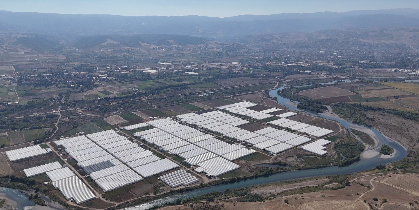 Tokat çiçekçilikte bölge lideri oldu; 600 dekarda 20 çeşit çiçek yetiştiriliyor