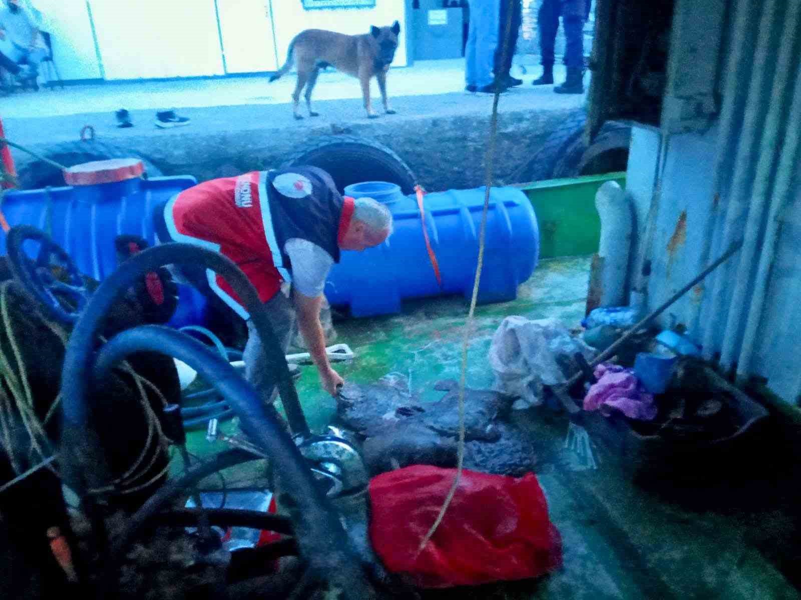 Kastamonu’da kaçak avlanan 142 kalkan balığına el konuldu