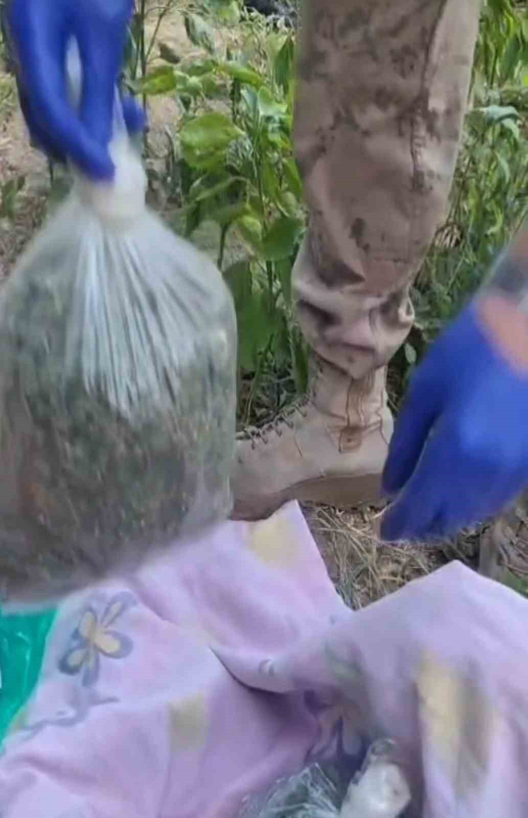 Batman’da uyuşturucu operasyonu: 1 tutuklama