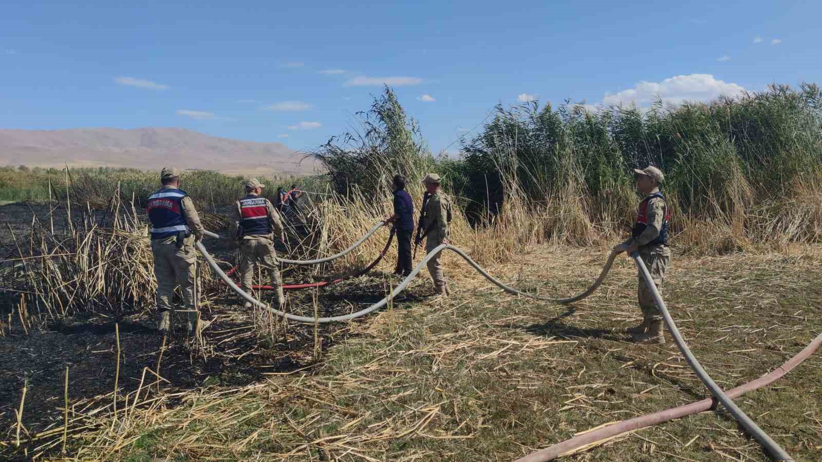 G&ouml;&ccedil;men kuşların yuvası alevlere teslim oldu
