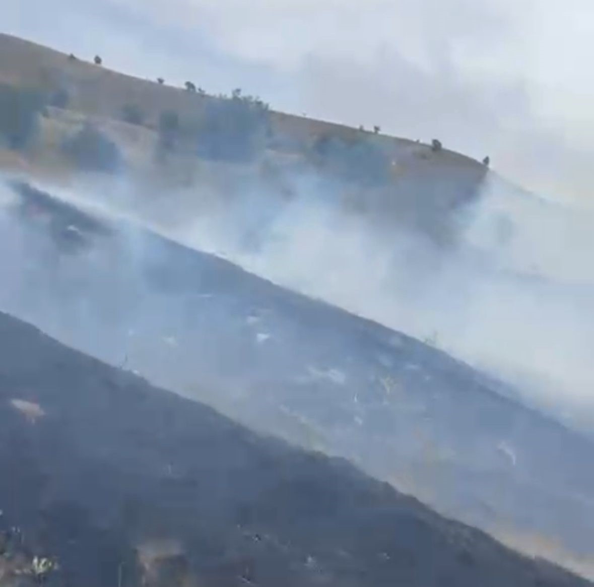 Bolu’da kırsal alanda çıkan yangın ormana sıçramadan söndürüldü