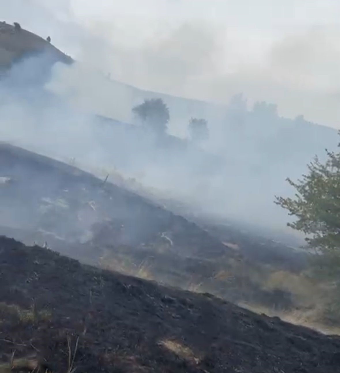 Bolu&rsquo;da kırsal alanda &ccedil;ıkan yangın ormana sı&ccedil;ramadan s&ouml;nd&uuml;r&uuml;ld&uuml;
