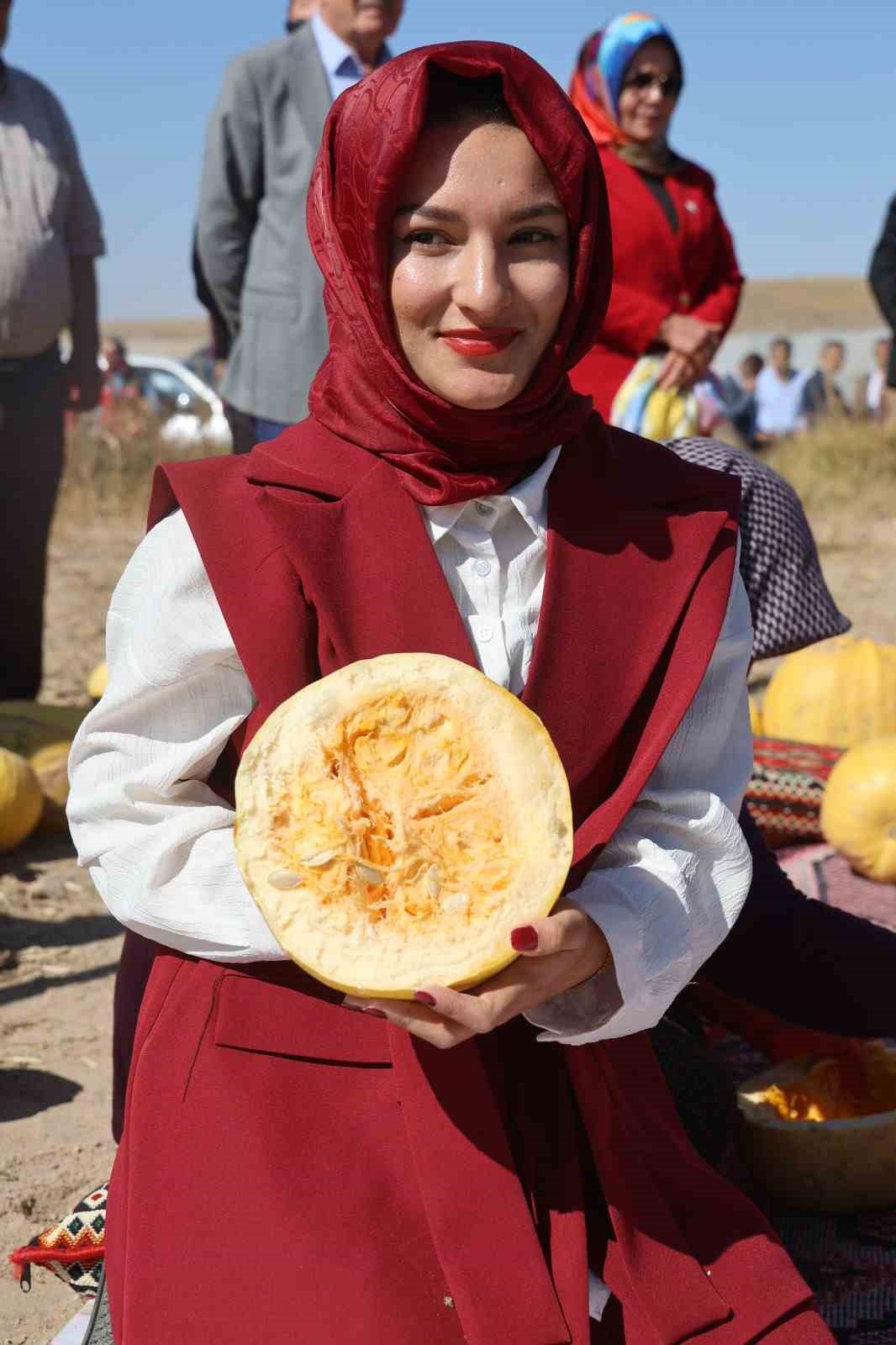 Nevşehir&rsquo;de kabak &ccedil;ekirdeği hasadı başladı
