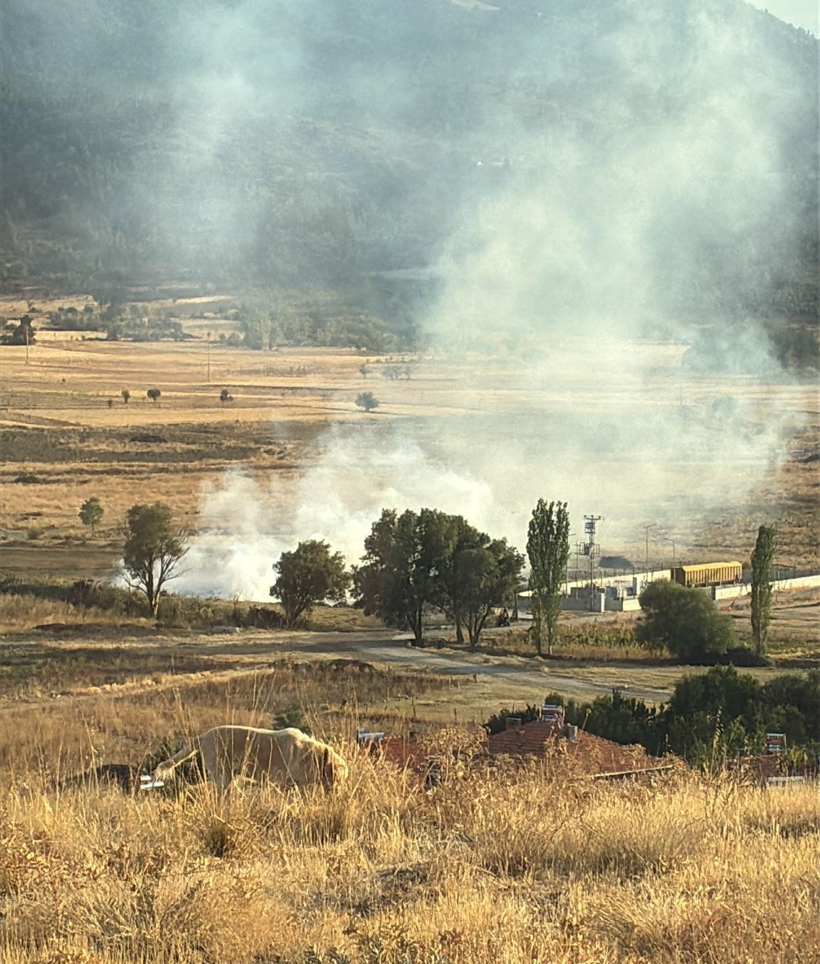Yeşilova&rsquo;da arazi yangını

