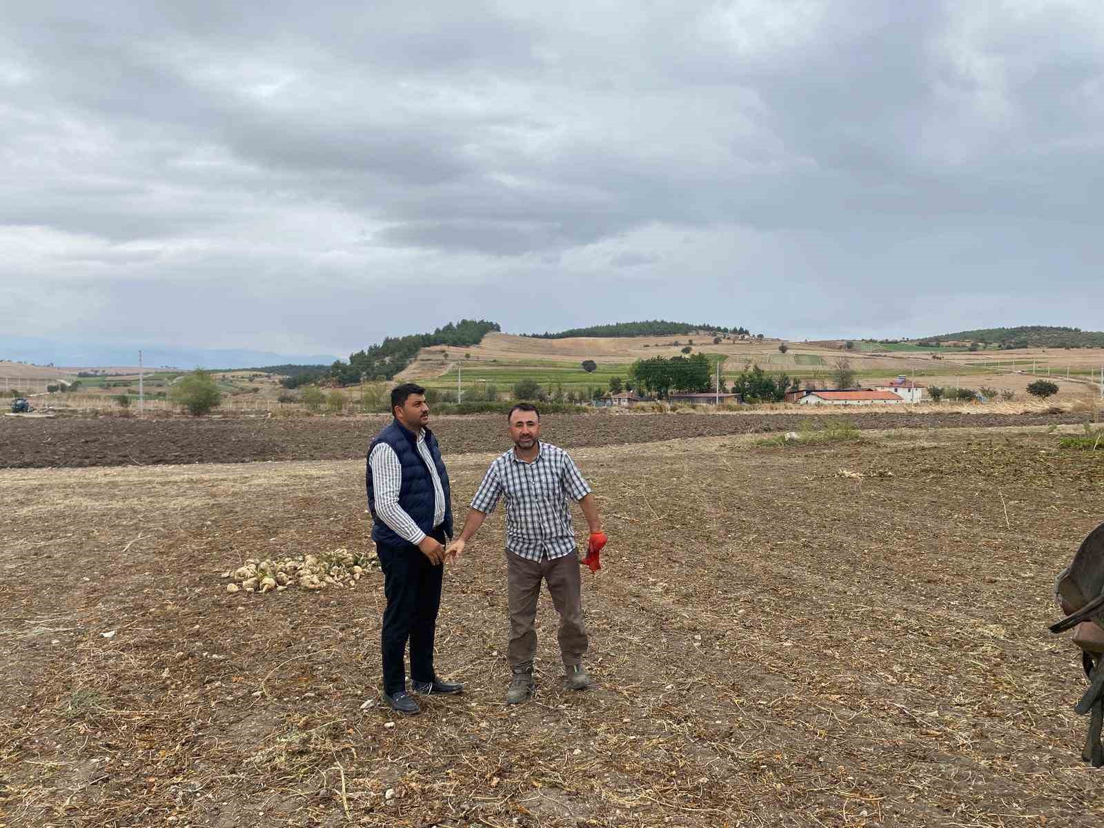 Şeker pancarı hasadı başladı
