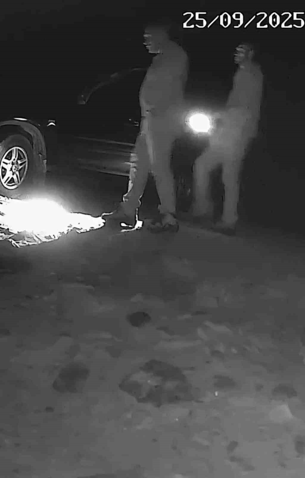 Boz ayı avlayan iki avcı fotokapana yakalandı