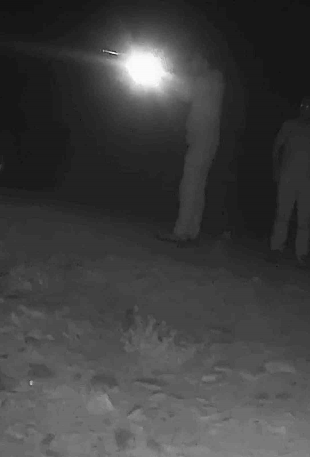 Boz ayı avlayan iki avcı fotokapana yakalandı