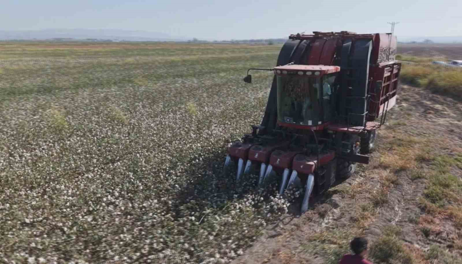 Amik Ovası&rsquo;nda beyaz altın pamukta 140 bin ton rekolte bekleniyor
