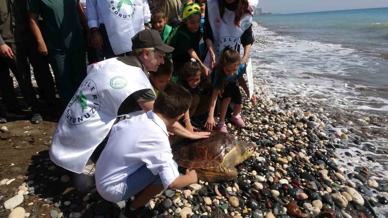 Tedavileri tamamlanan 5 deniz kaplumbağası denizle buluştu