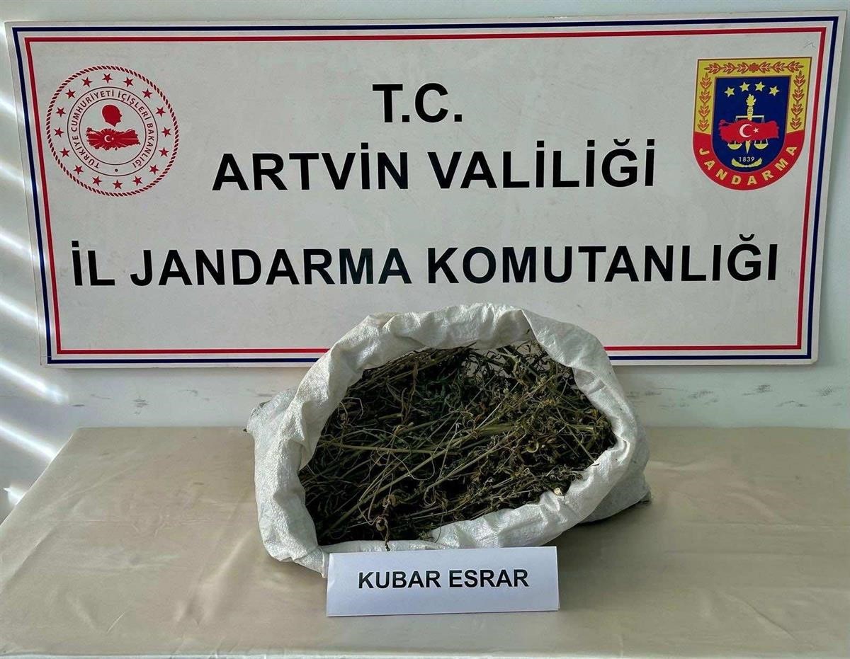 Artvin’de uyuşturucu operasyonu