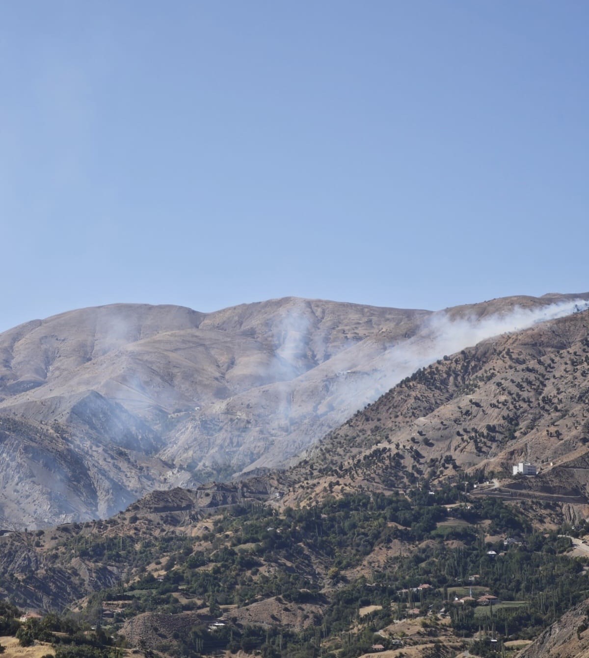 Sincik il&ccedil;esinde korkutan orman yangını
