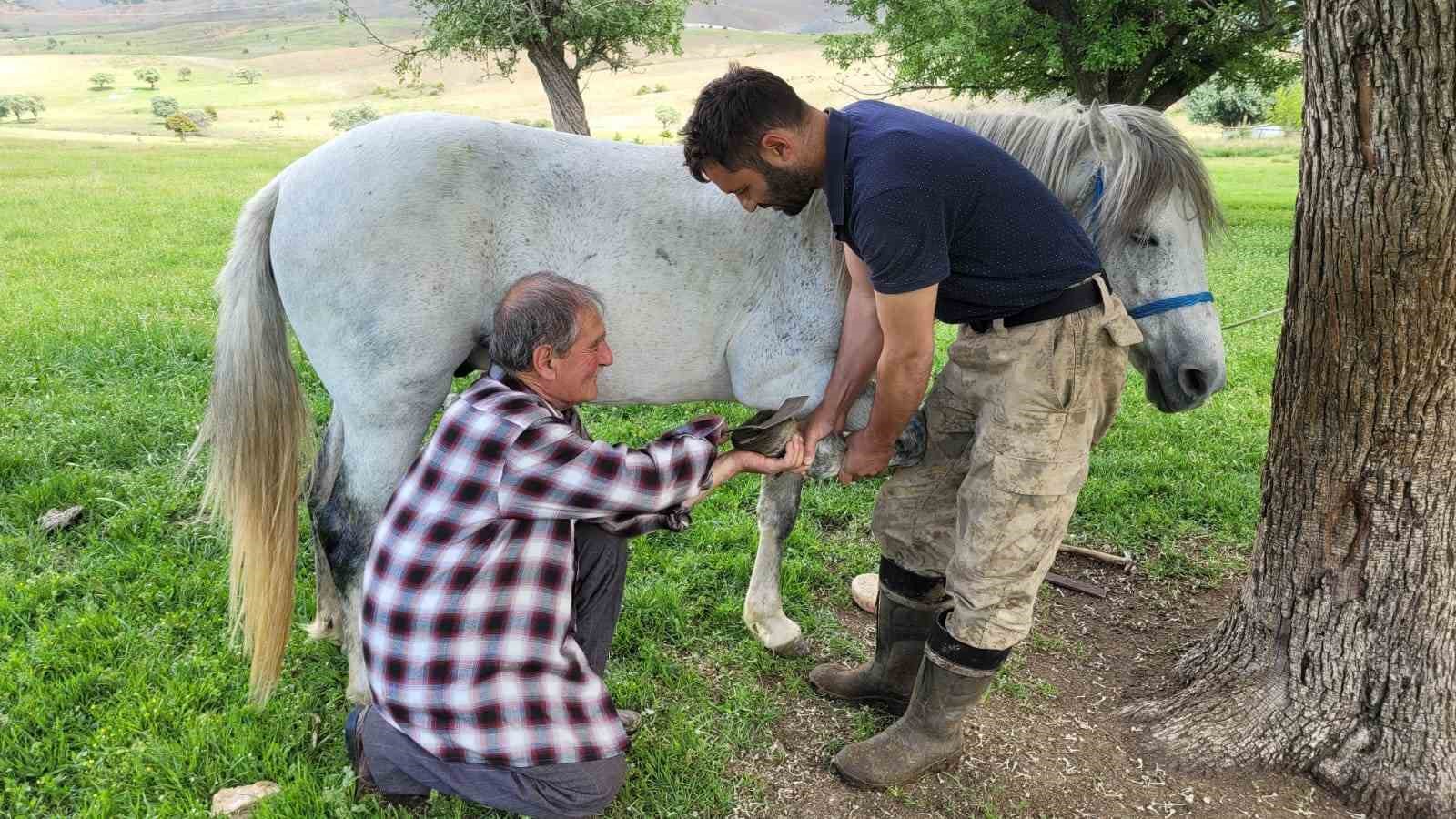 Kemaliye’nin son nalbant ustası yarım asırdır mesleğini sürdürüyor