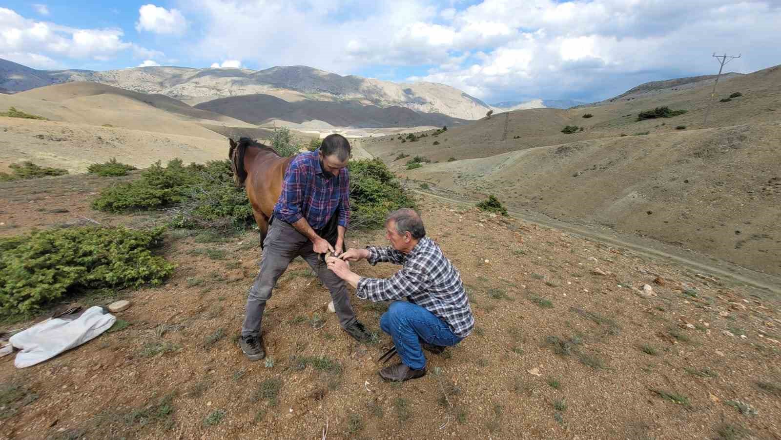 Kemaliye&rsquo;nin son nalbant ustası yarım asırdır mesleğini s&uuml;rd&uuml;r&uuml;yor
