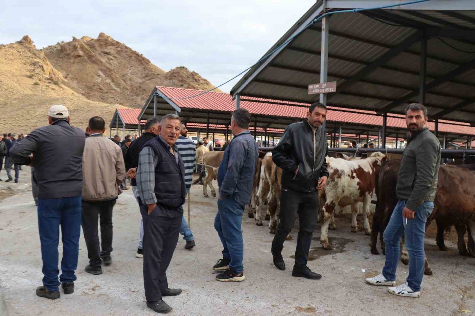 Oltu canlı hayvan pazarı şap hastalığı sonrası eski canlılığına kavuştu