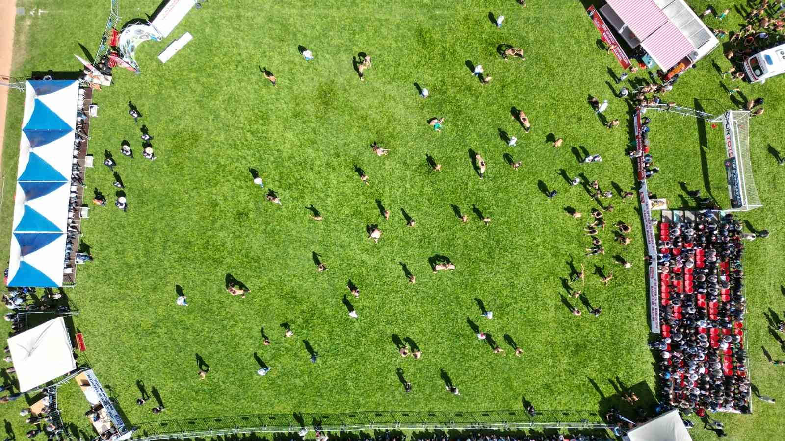 Başpehlivanlar Tokat’taki er meydanında kol bağladı