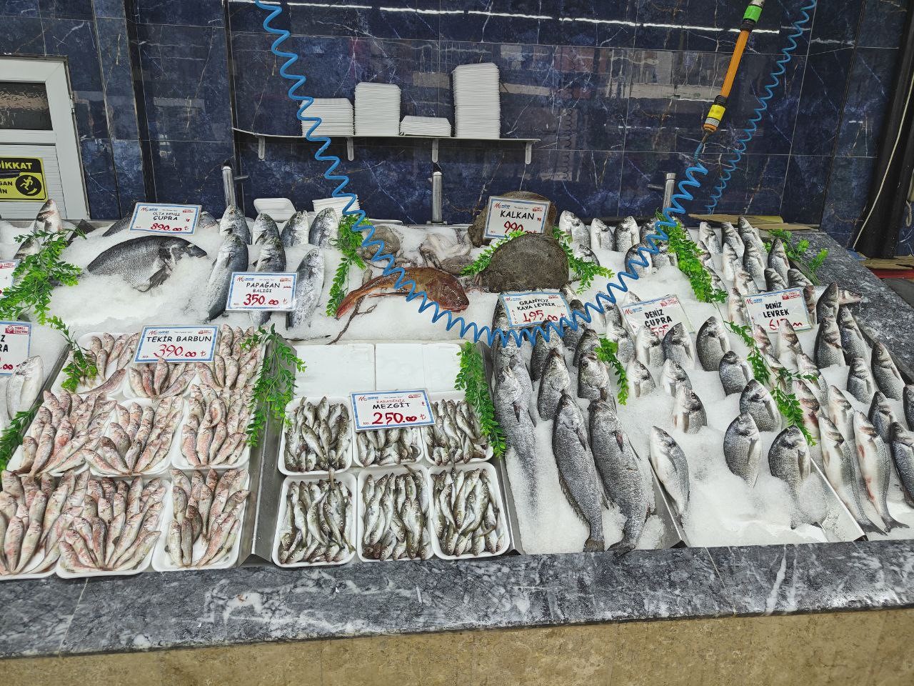 Balık tezgahları şenlendi
