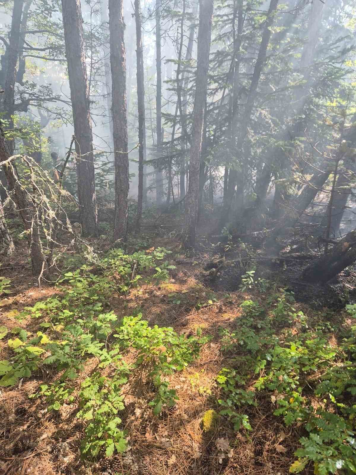 Kastamonu’da ormanlık alanda çıkan yangın ekiplerin müdahalesiyle söndürüldü
