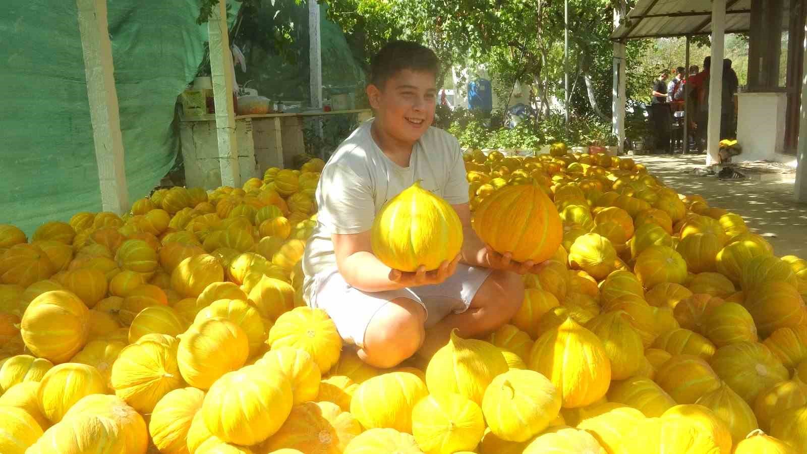 Ata tohumundan gelen miras: Yayla kavunu Karabağlar&rsquo;da y&uuml;z yıllardır yaşatılıyor
