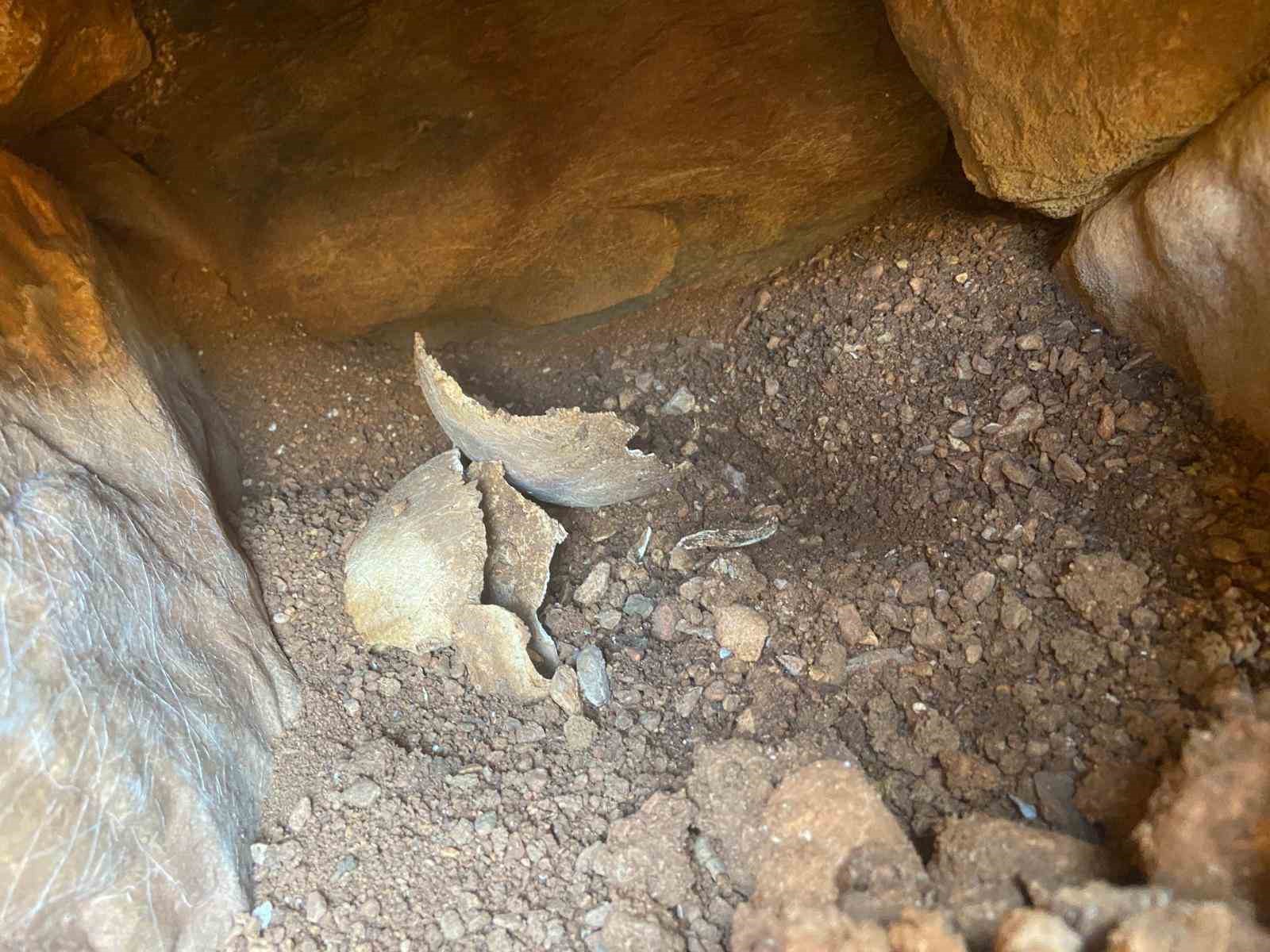 Muğla’da su deposu çalışmalarında tarihi eserler bulundu, alan koruma altına alındı