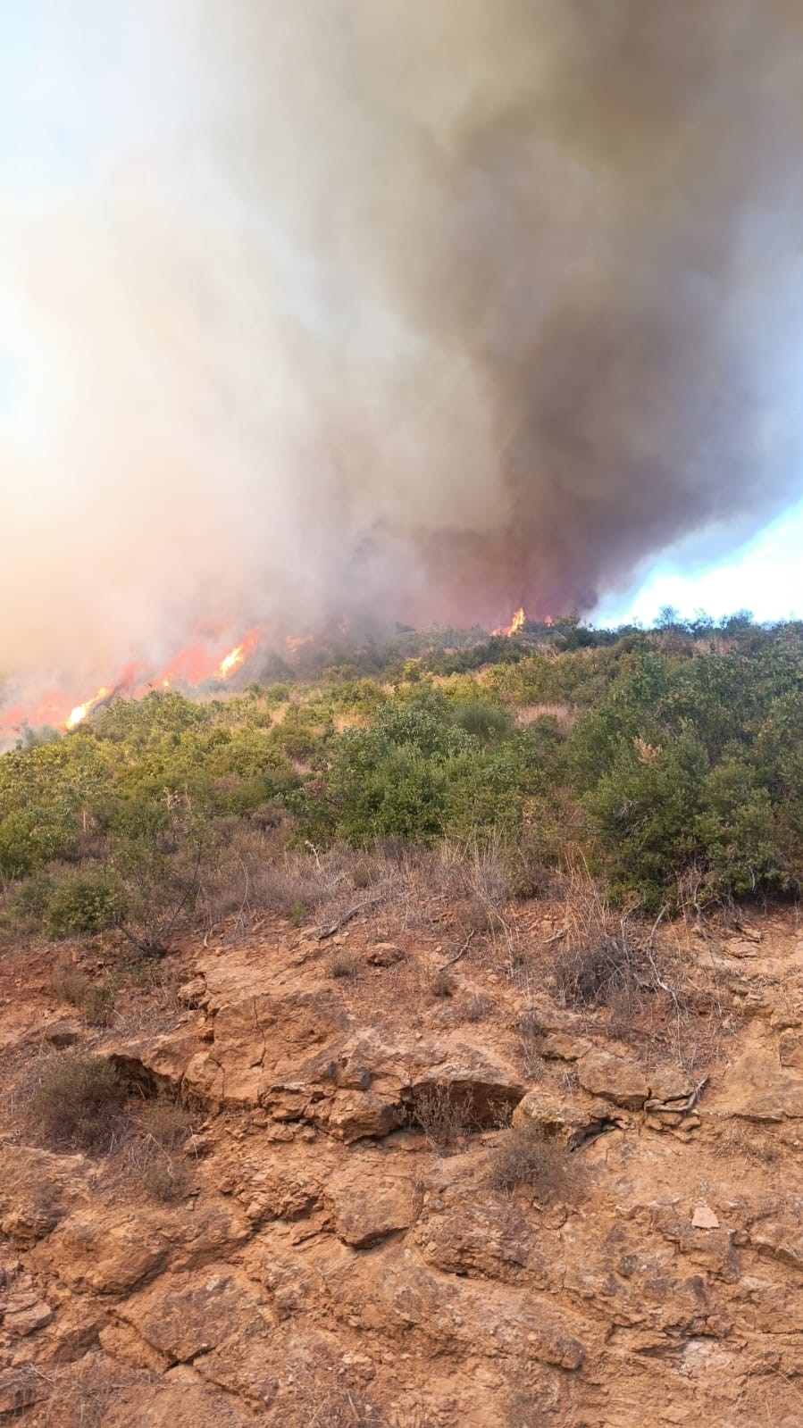 Kepsut’ta orman yangını başladı