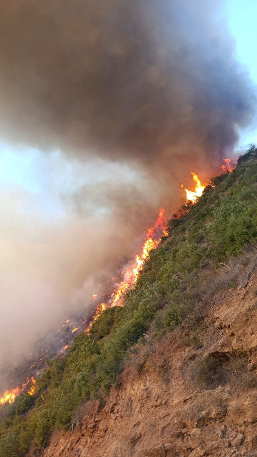 Kepsut&rsquo;ta orman yangını başladı
